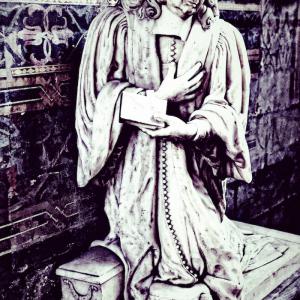 Marquis d'Aligre (fils)